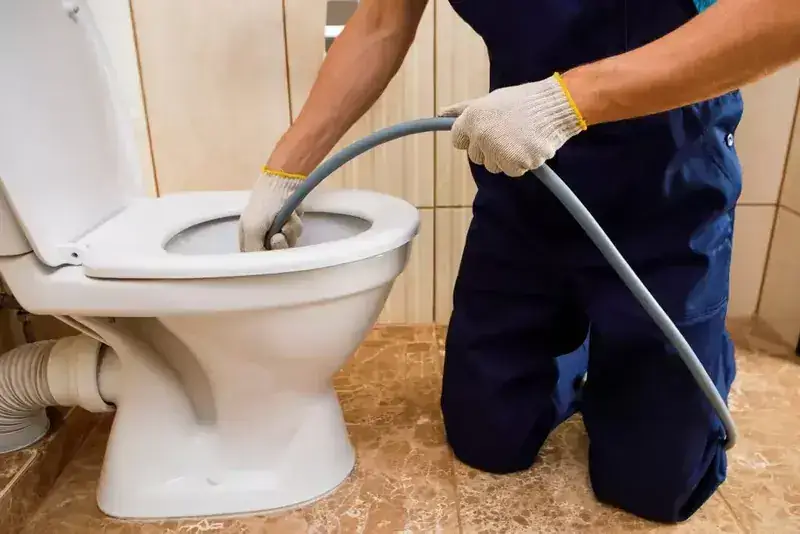 Toilet and tap repair in Brighton